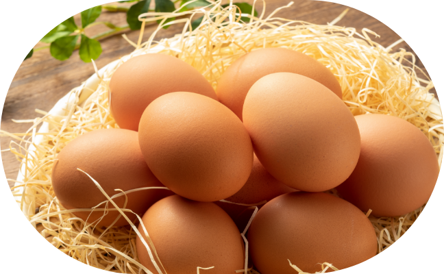 群馬の榛名山麓で育ったおいしい「卵」